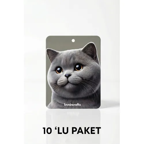 10'lu Paket Oto Araç Kokusu British Shorthair - Vanilya Kokulu