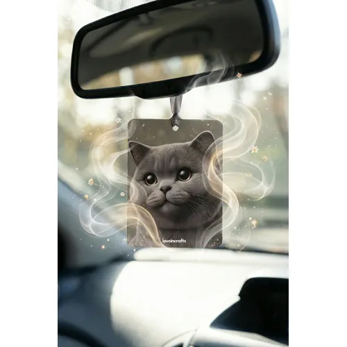 10'lu Paket Oto Araç Kokusu British Shorthair - Vanilya Kokulu