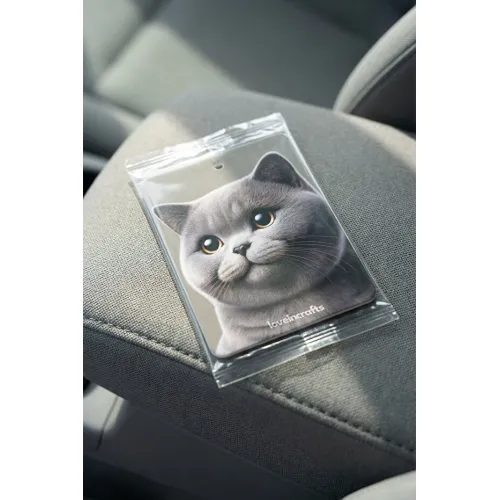 10'lu Paket Oto Araç Kokusu British Shorthair - Vanilya Kokulu