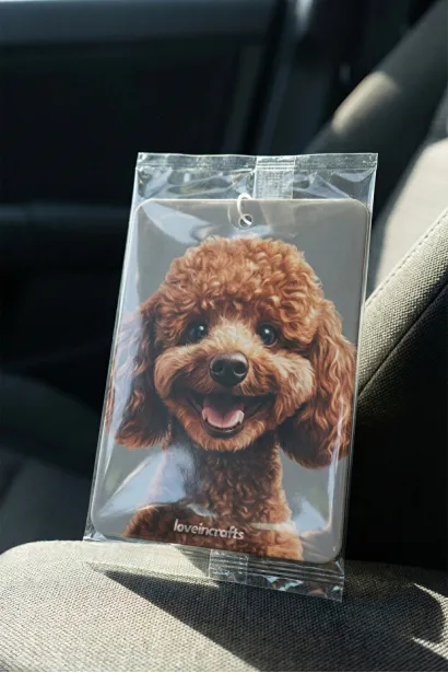 10'lu Paket Oto Araç Kokusu Toy Poddle - Vanilya Kokulu