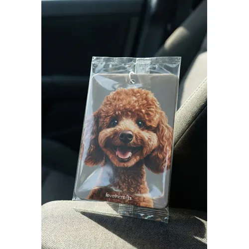 10'lu Paket Oto Araç Kokusu Toy Poddle - Vanilya Kokulu